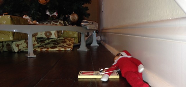 Elf caught trying to peak at presents! - Venus Pest Company
